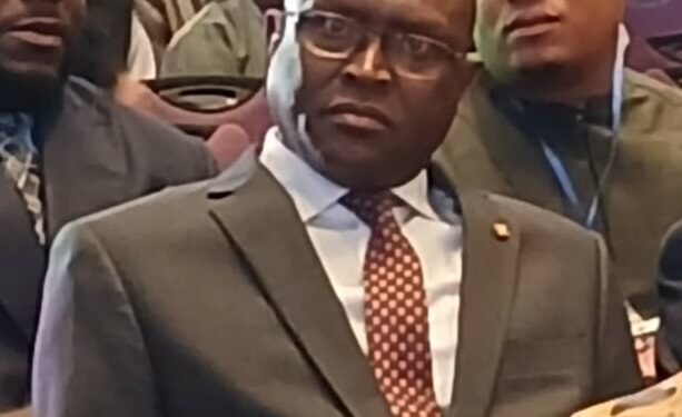 Rôle de l’ANAIM dans le projet Simandou : Ibrahima DIALLO répond aux questions au forum d’émergence Magazine